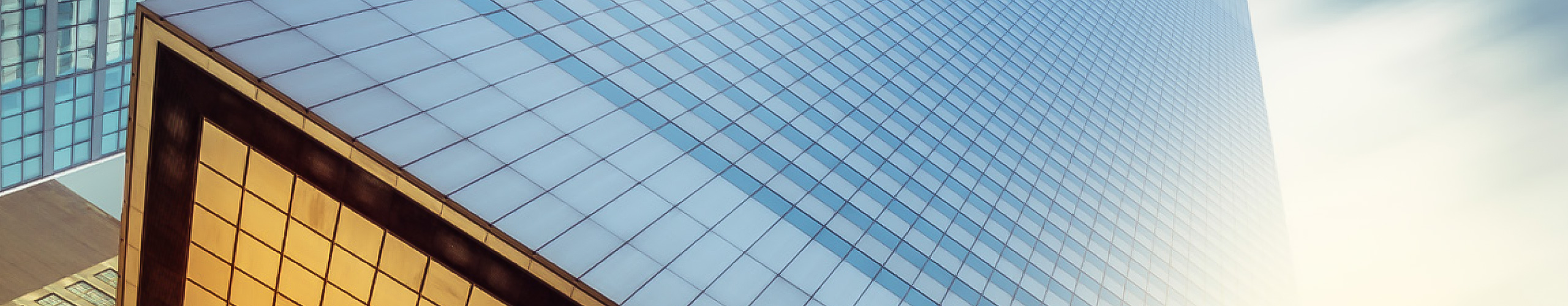 Tax Efficient Investing: Turning an Investor’s Tax Return Into a Plan