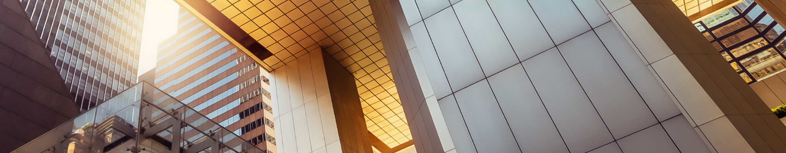 Cerulli report LP Banner