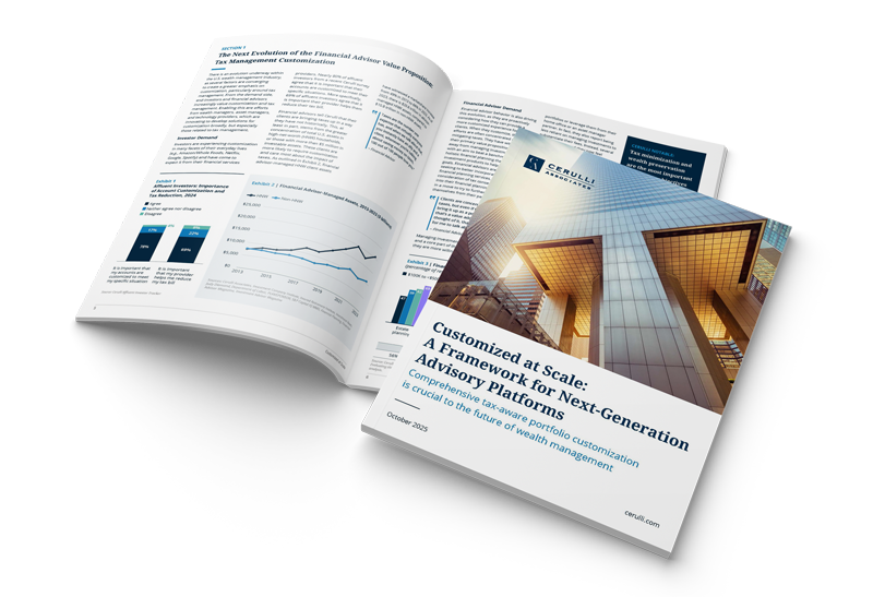 Cerulli Report mock-up image