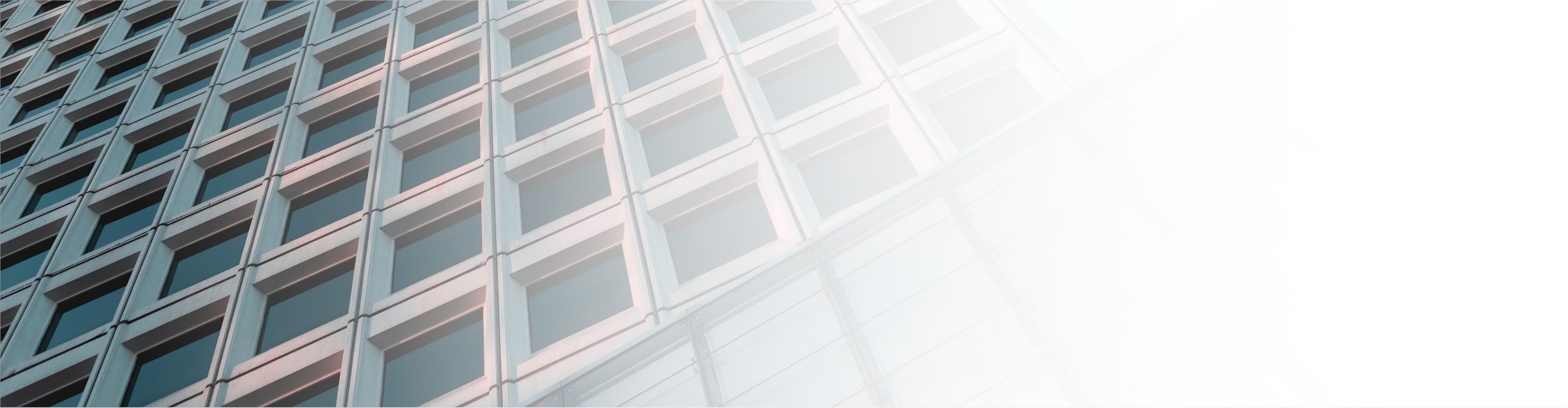 DE banner background