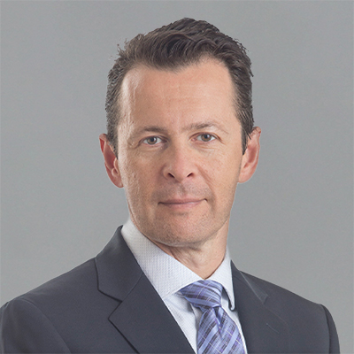 Vladimir Gomelsky photo